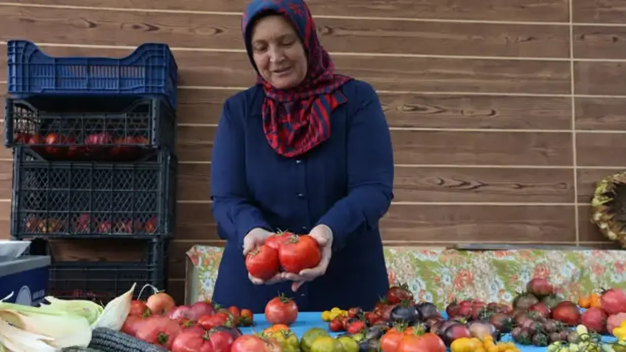 11 yıldır ücretsiz dağıtıyor! Bir pakette 55 çeşit ata tohumu