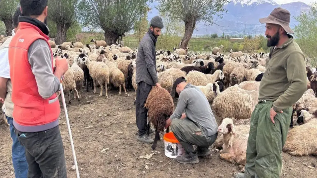 150 bin lira veren bulamamıştı: 