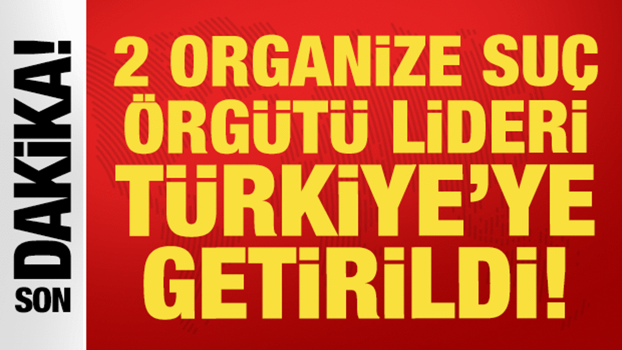2 organize suç örgütü elebaşı Gürcistan'dan Türkiye'ye iade edildi