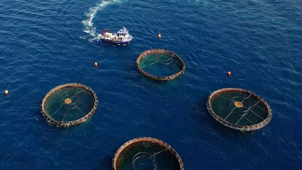 22 ülke sıraya girdi! Karadeniz’in 