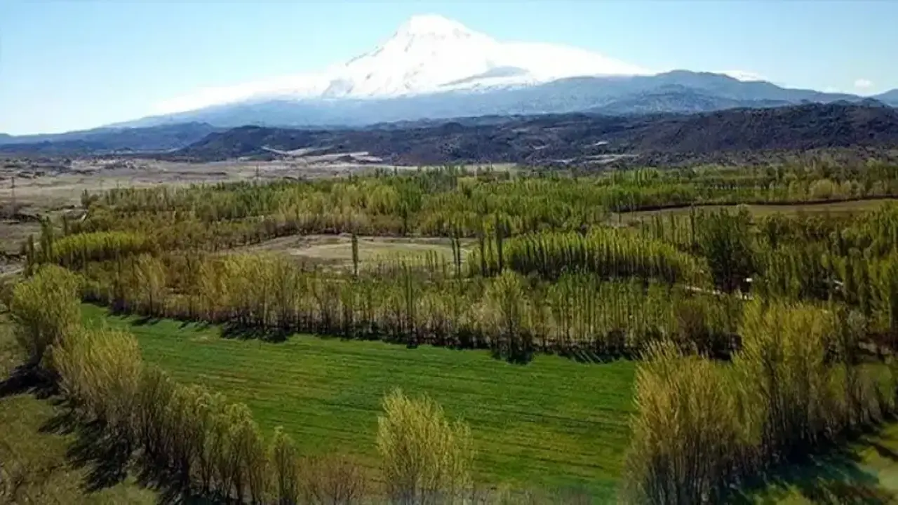 2B arazileri için yeni karar! Fiyat farkı en fazla yüzde 20 olacak
