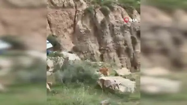 300 metrelik uçuruma yuvarlanan araçtan son anda atlayarak kurtuldular