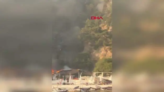 4 kişi yaralandı: İstanbul'da plajdaki yangın ormana sıçradı
