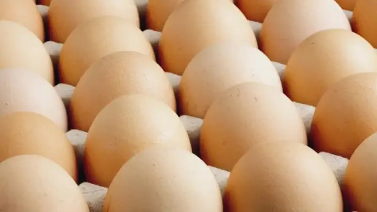 ABD'de salmonella alarmı: Milyonlarca yumurta toplandı