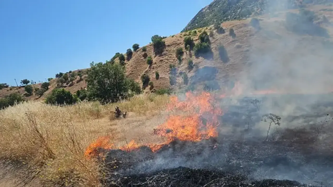 Alevler kırsalı sardı! Diyarbakır'da yoğun müdahale