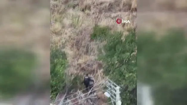 Alzaymır hastası teyzeyi sırtında taşıdı! Bakan Çiftçi'den kahraman polise tebrik