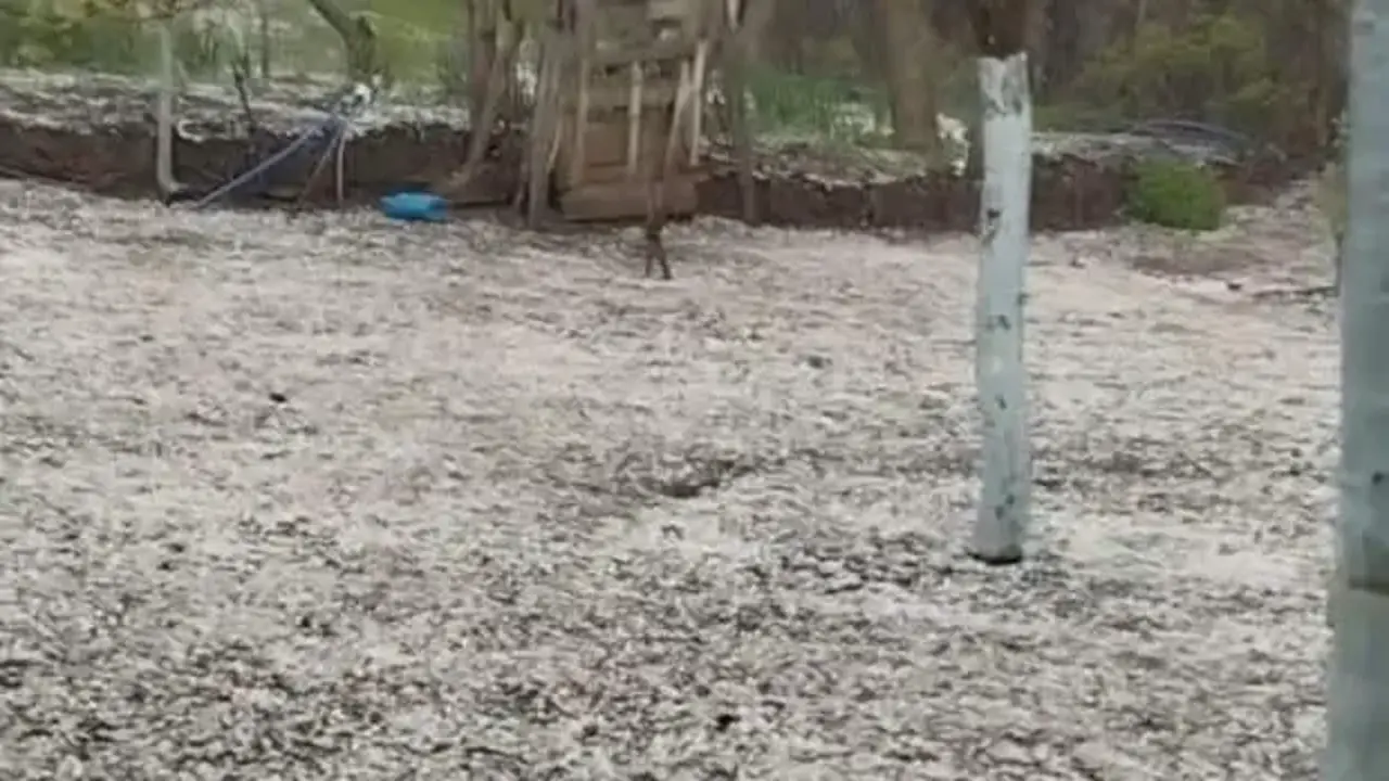 Amasya’da dolu yağışı