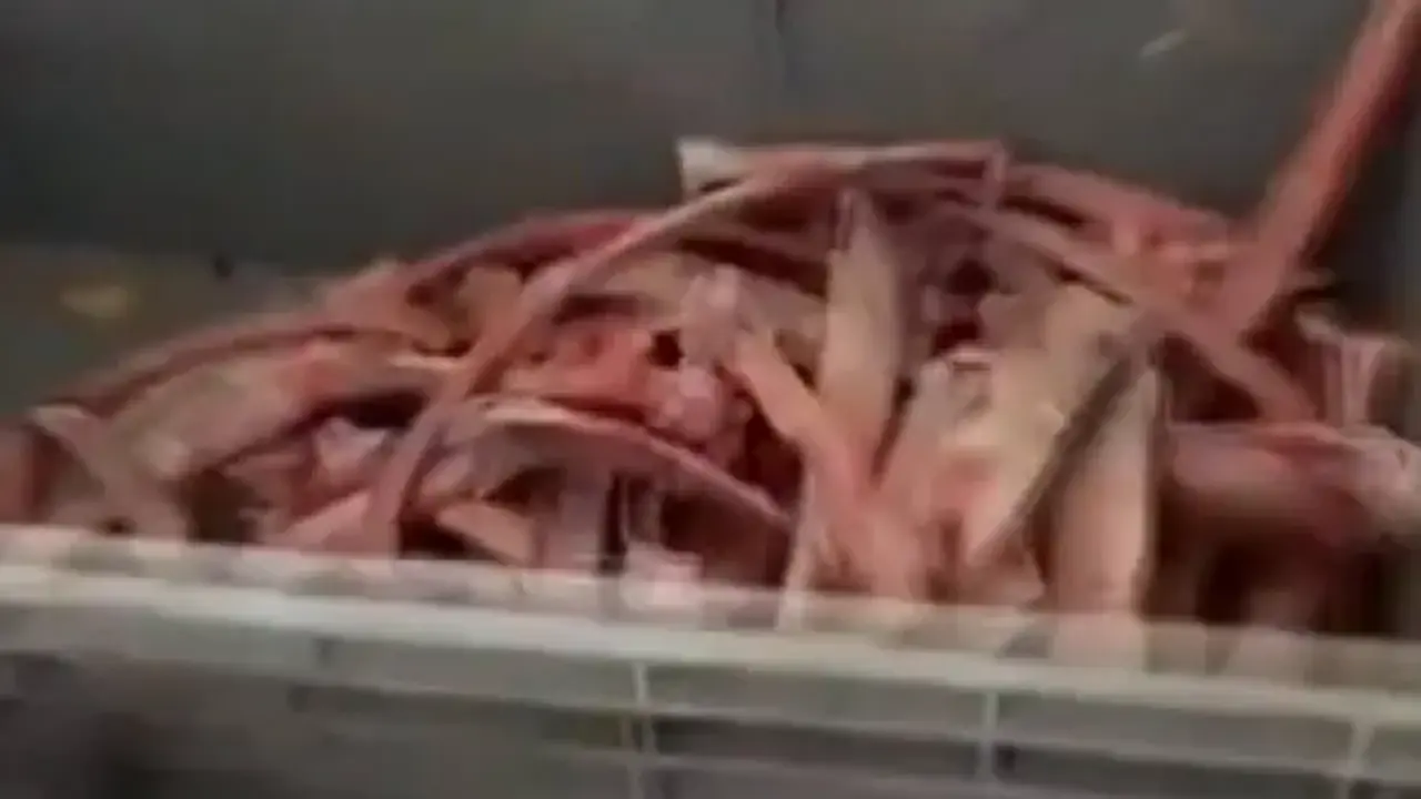 Ankara'da sağlığı tehdit eden 40 ton et ele geçirildi