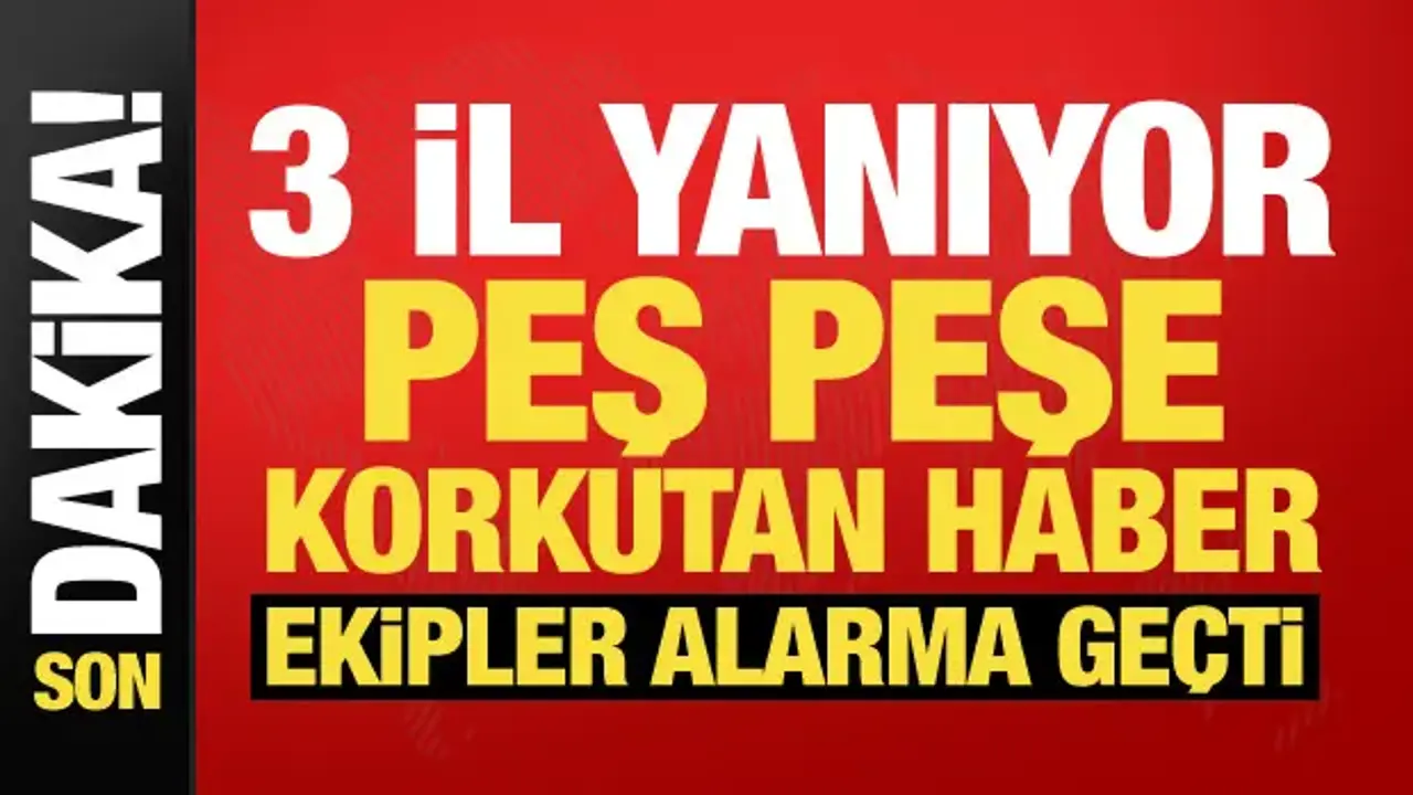 Antalya, Çanakkale ve Balıkesir'de orman yangını! Çok sayıda ekip sevk edildi
