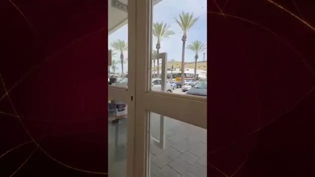 Arıların istila ettiği İsrail'de uçak seferleri iptal edildi