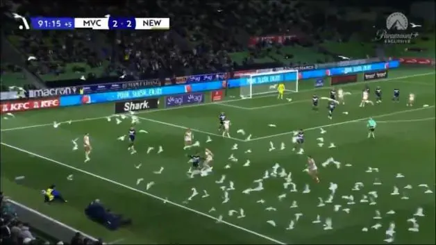 Avustralya Ligi’nde ilginç anlar: Sahayı martılar bastı