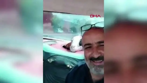 Bagajdaki kurbanlık koyunla gülümseten selfie yolculuğu