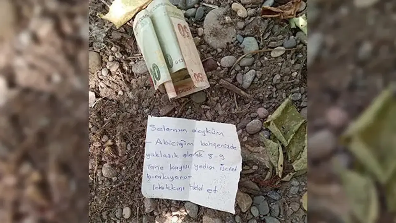 Bahçeden kayısı yiyen adamın yazdığı not duygulandırdı!