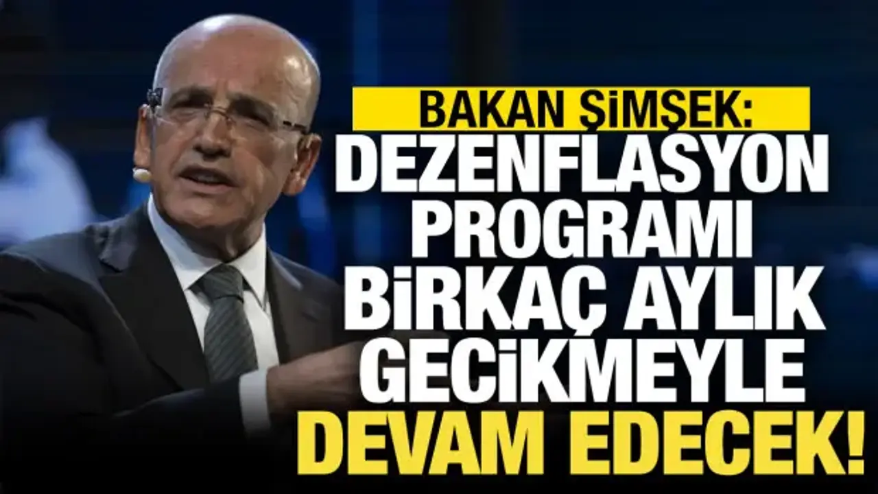 Bakan Şimşek: Dezenflasyon programı birkaç aylık gecikmeyle devam edecek