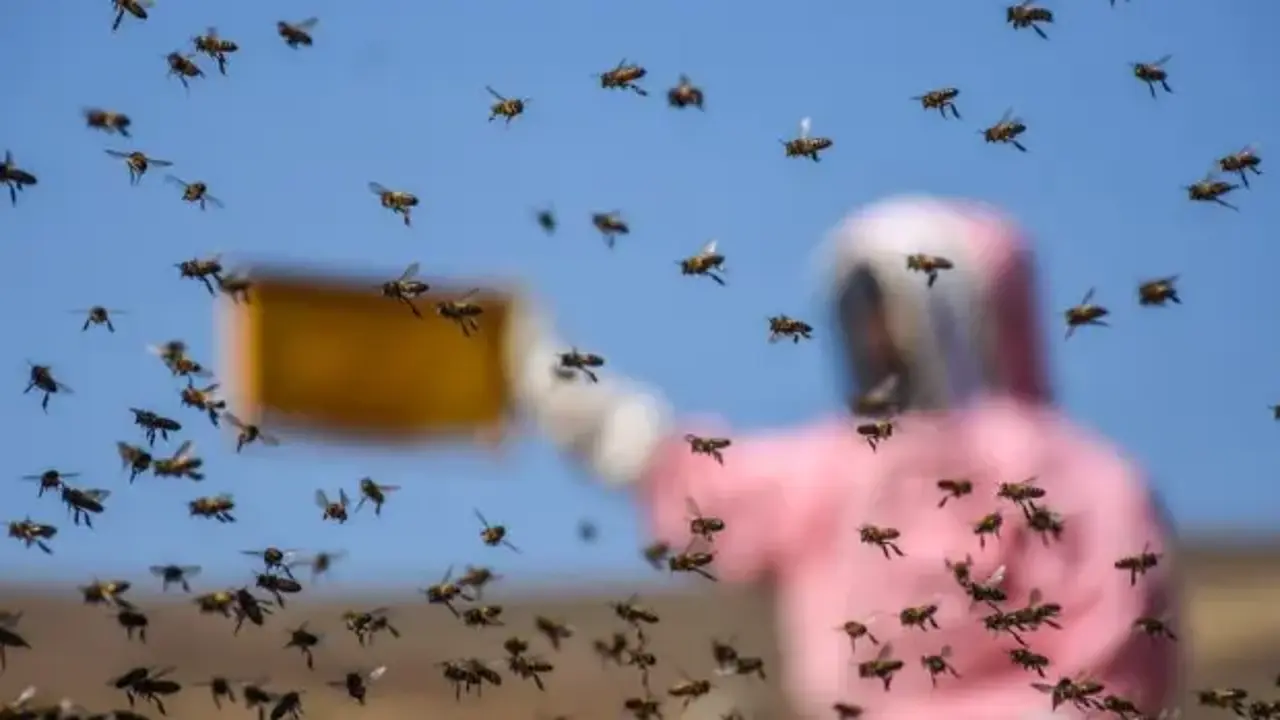Bakan Yumaklı duyurdu: Türkiye arıcılık ve bal üretiminde dünyada ilk üçte!