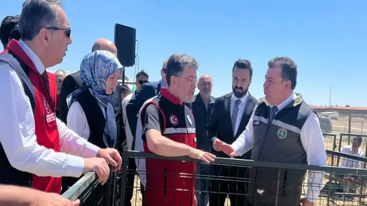 Bakanlıktan 1600 üreticiye 160 bin küçükbaş hayvan desteği
