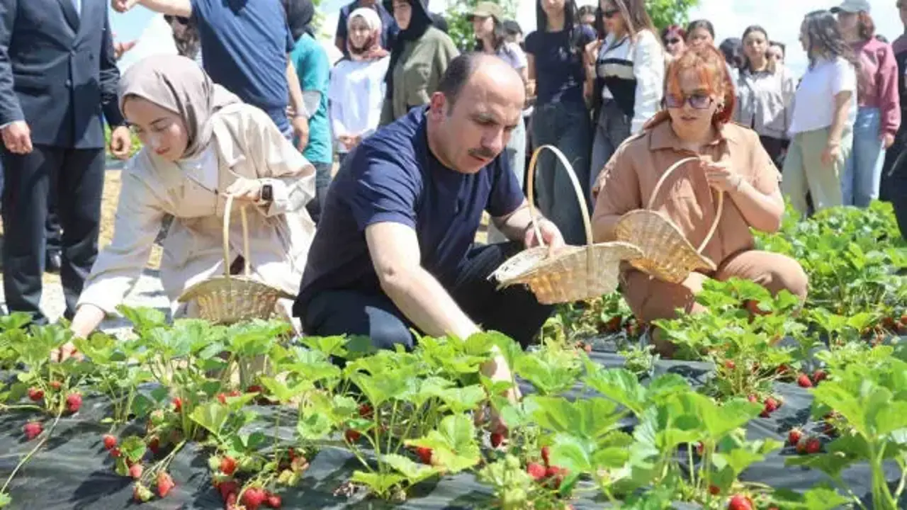 Başkan Altay: 2027 yılı tarımsal destek başvuruları 1 Temmuz’da başlayacak