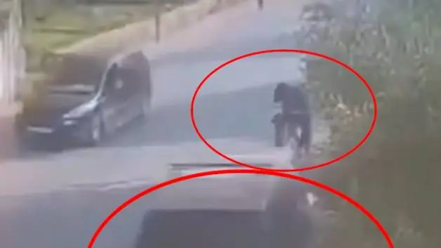 Batı Şeria'da dehşet: Yahudi işgalci okul yolundaki öğrencileri ezdi