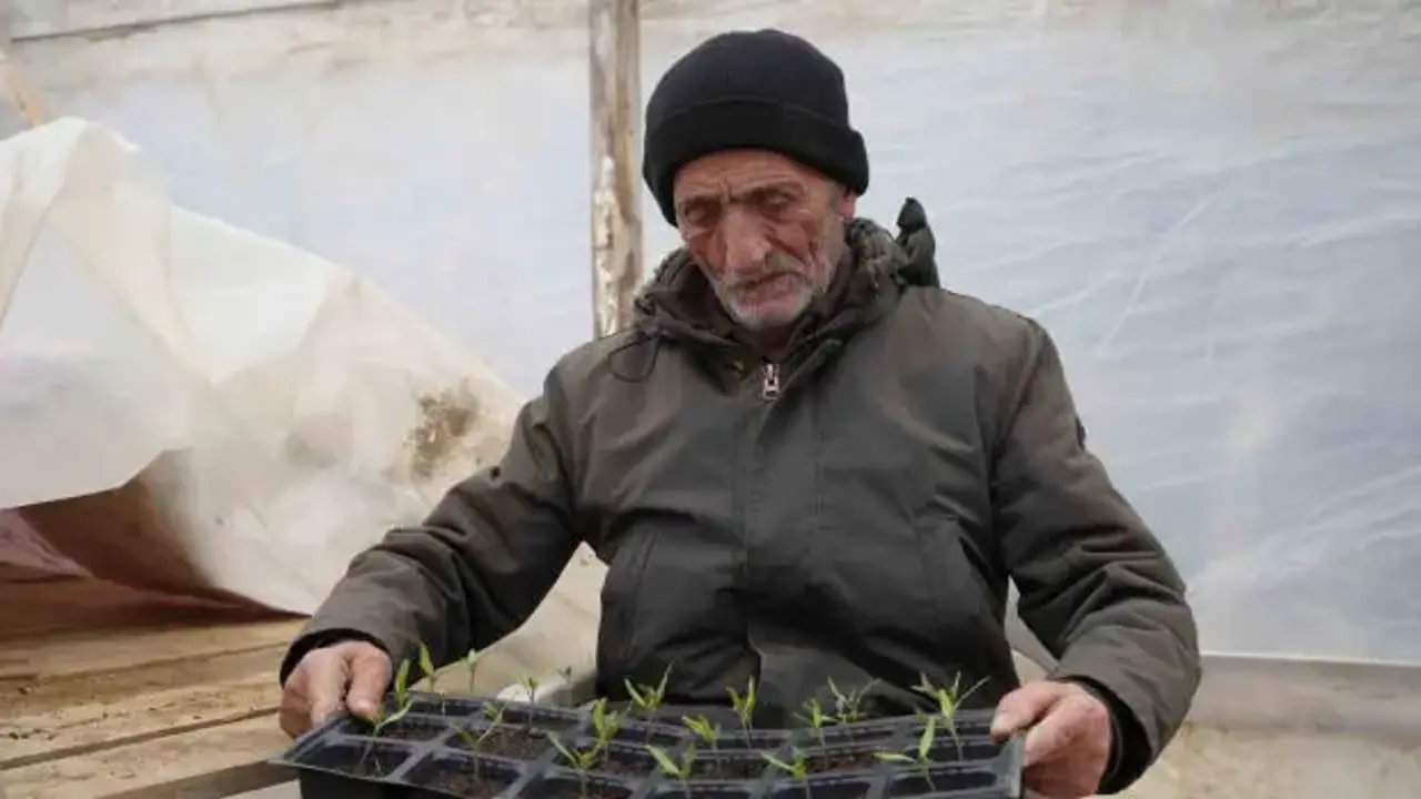 Bayburtlu çiftçi ata tohumlarını yaşatmak için ücretsiz fide dağıtıyor