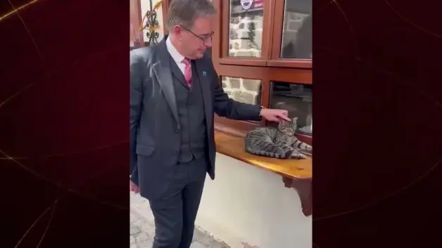 Belçika Başbakanı De Wever'den gülümseten kedi paylaşımı: 