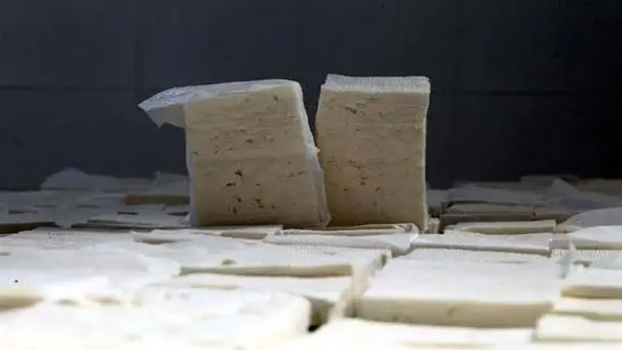 Beyaz peynirin içinden ölümcül bakteri çıktı, bakanlık toplatma kararı aldı! Bir kişi fenalaştı