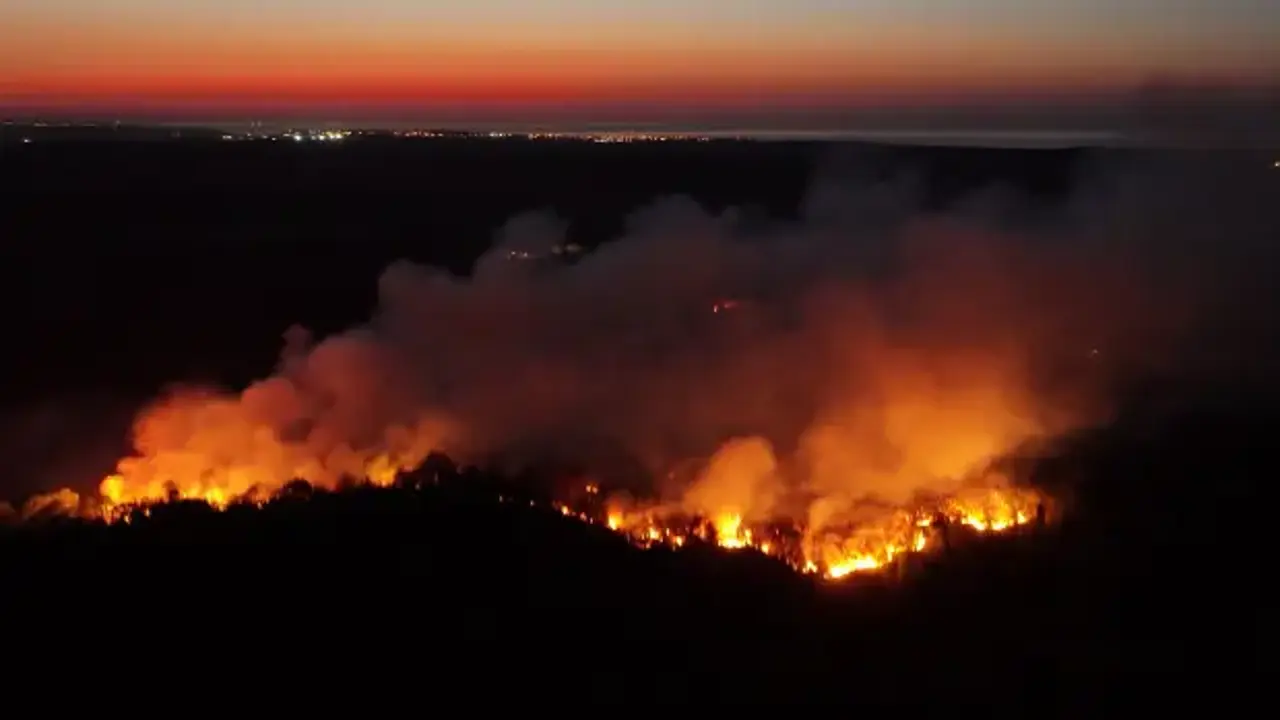 Beykoz'da ormanlık alanda çıkan yangın kontrol altına alındı