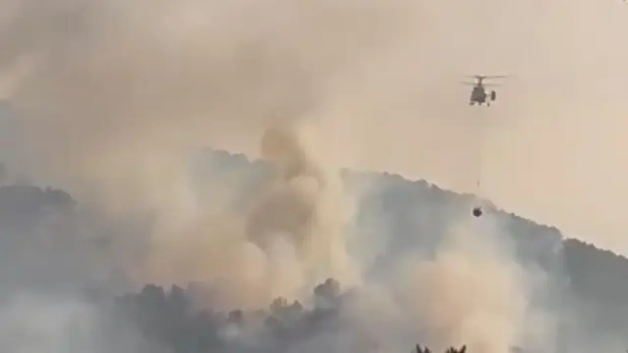 Bolu'da orman yangını