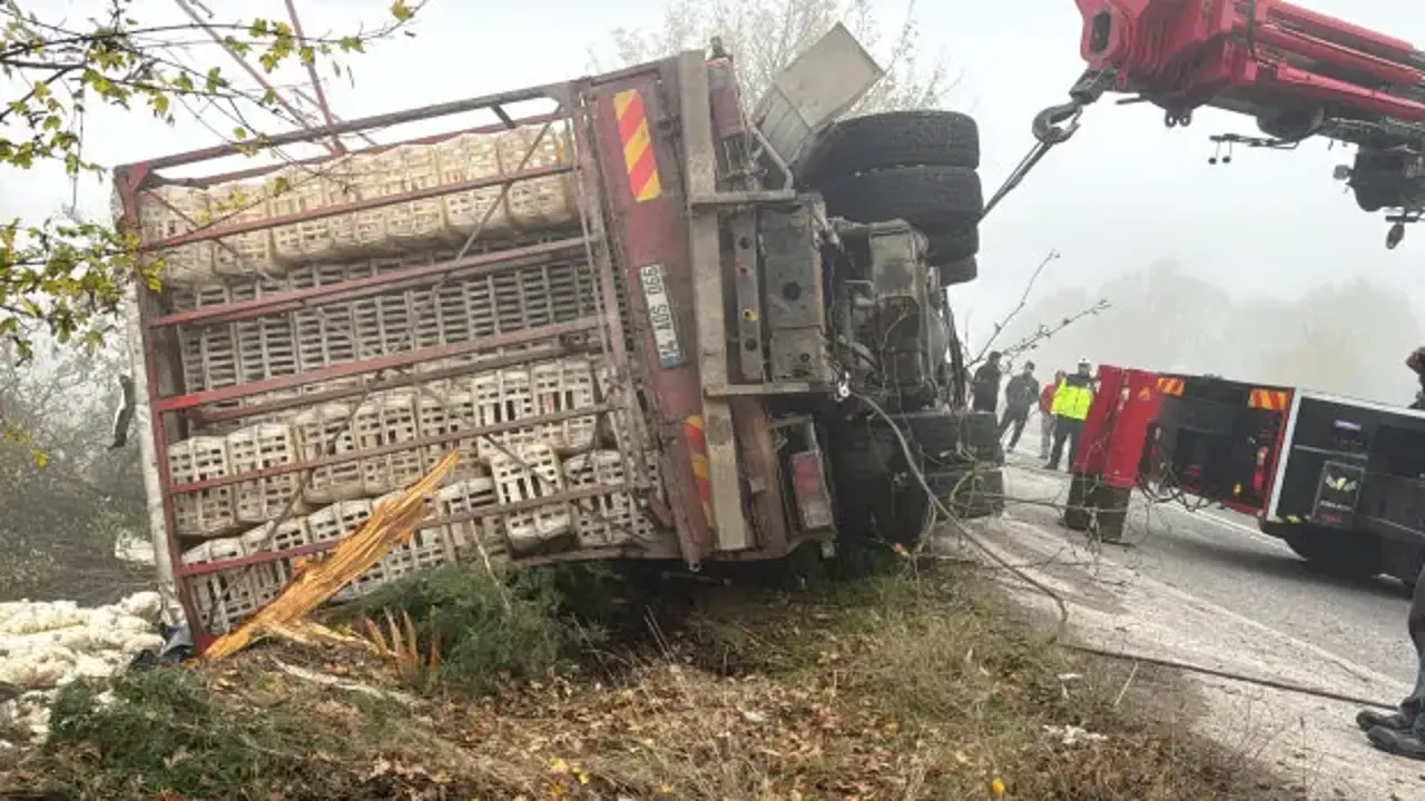 Bolu'da tavuk yüklü kamyon devrildi! Yaralılar var