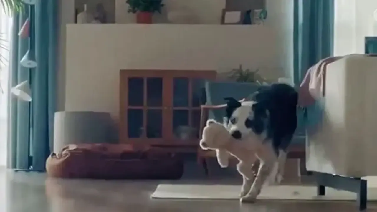 Bosch'un skandal reklamına tepkiler sürüyor: Türkiye'nin değer dünyası hafife alınıyor