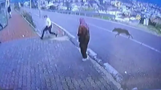 Bursa'da köpekten kaçarken yüksekten atlayan çocuğun bacağı kırıldı