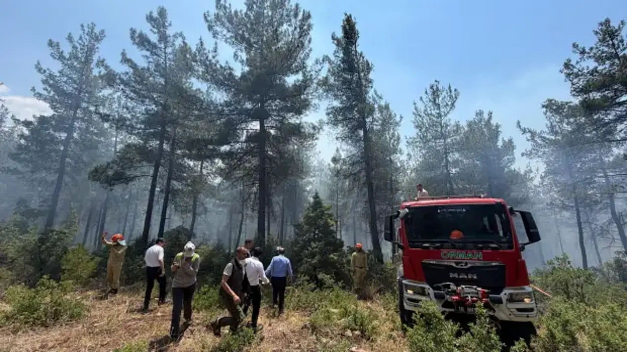 Bursa'da korkutan orman yangını!
