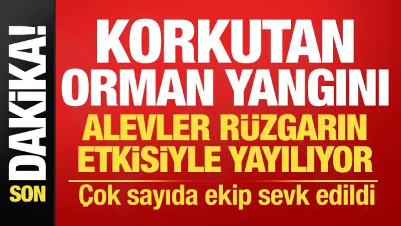 Çanakkale'de korkutan orman yangını! Alevler kısa sürede yayıldı