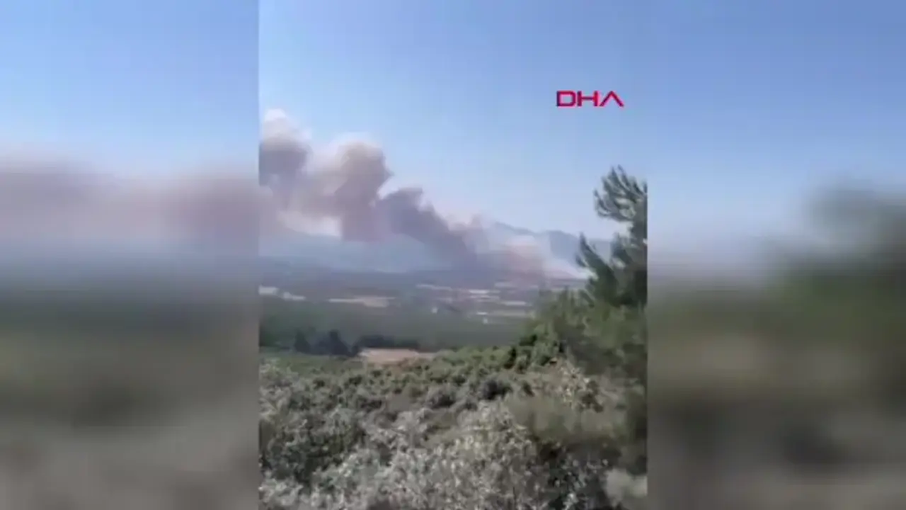 Çanakkale’de orman yangını