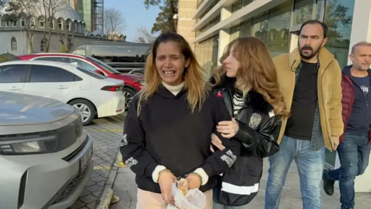 Cezaevine girmemek için sürekli çocuk doğuran kadın yeniden ceza aldı