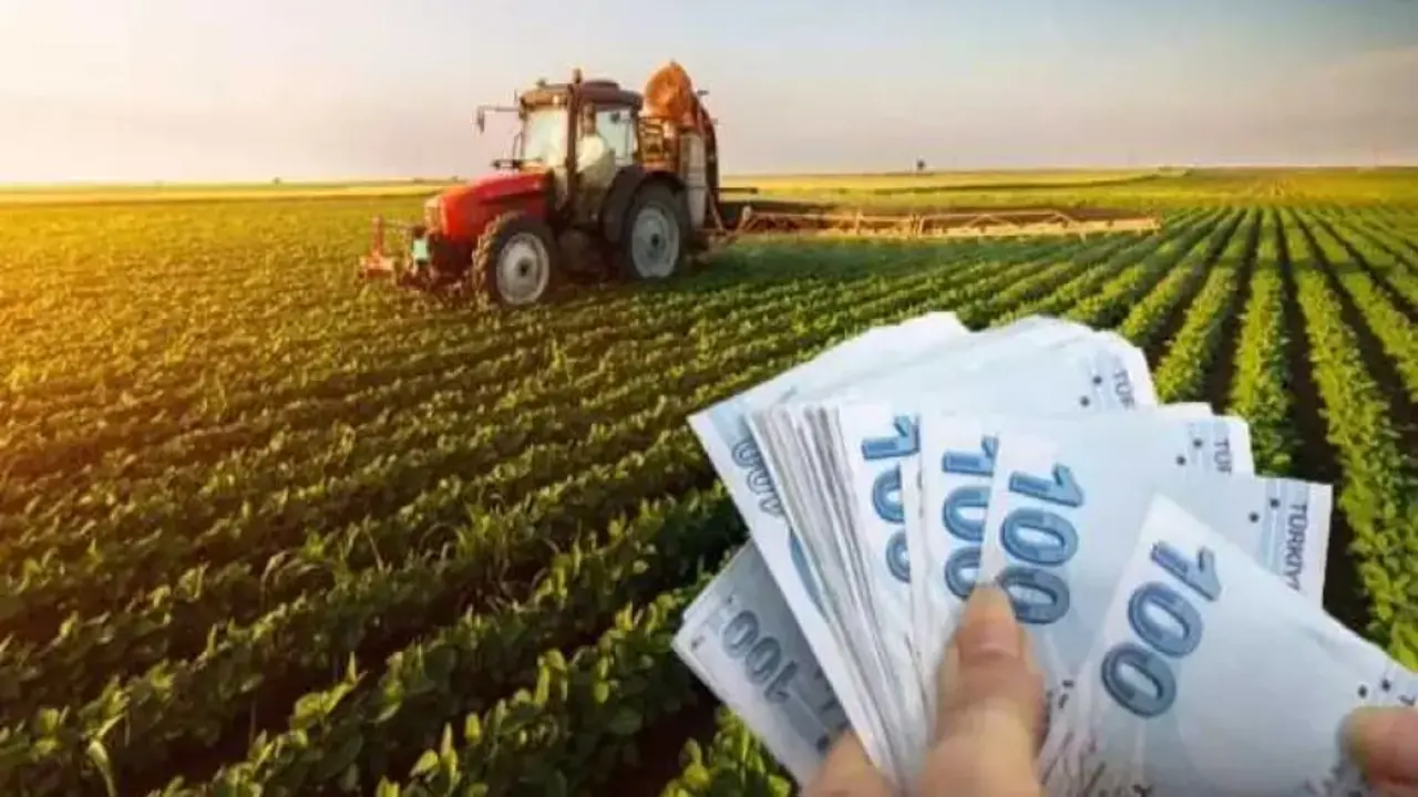 Çiftçinin beklediği haber geldi! Destek ödemeleri hesaplarda