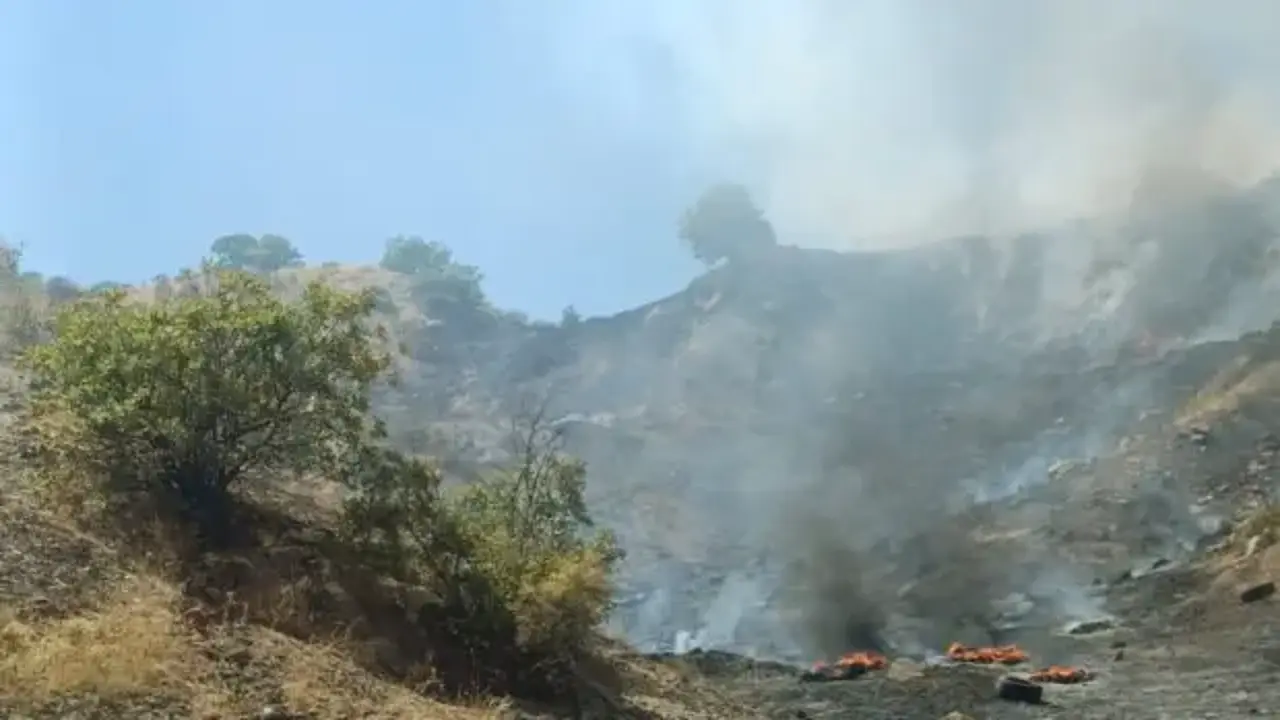 Çöp alanından sıçrayan ateş ormanlık alanı yaktı