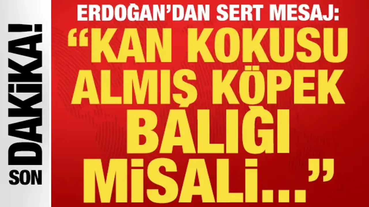 Cumhurbaşkanı Erdoğan: 