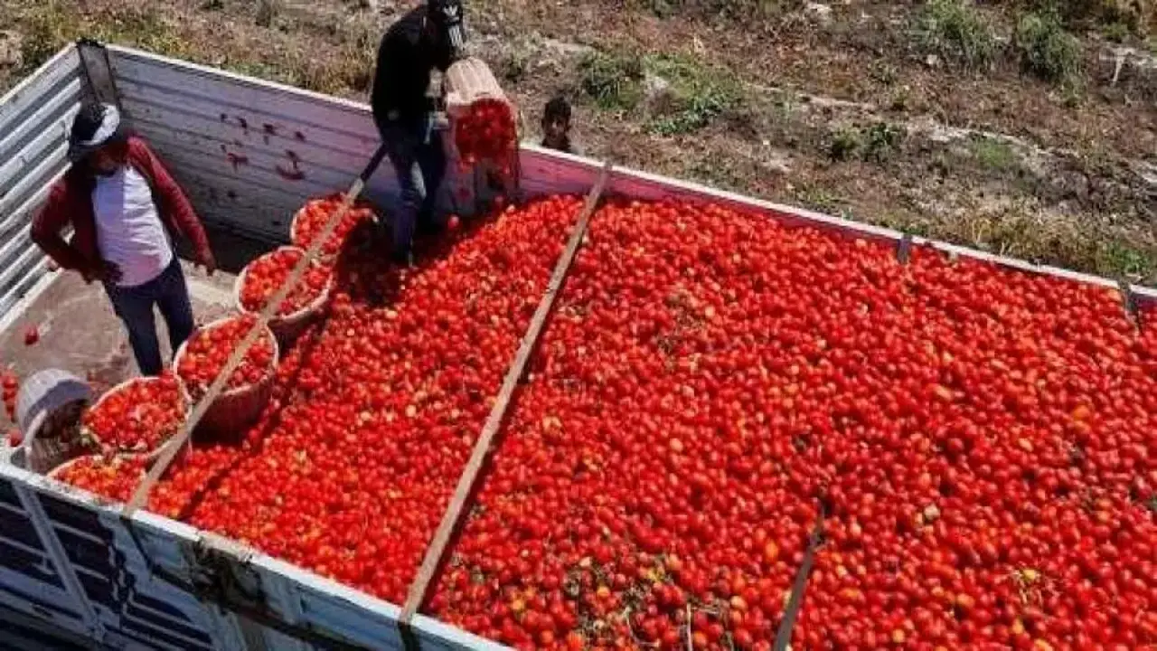 Daha az ihraç edildi, daha çok kazandırdı!