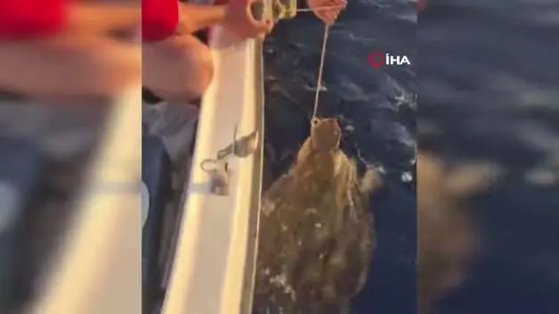 Deniz kaplumbağasının ayağına taş bağlayan vicdansızların yaptığı yürekleri sızlattı