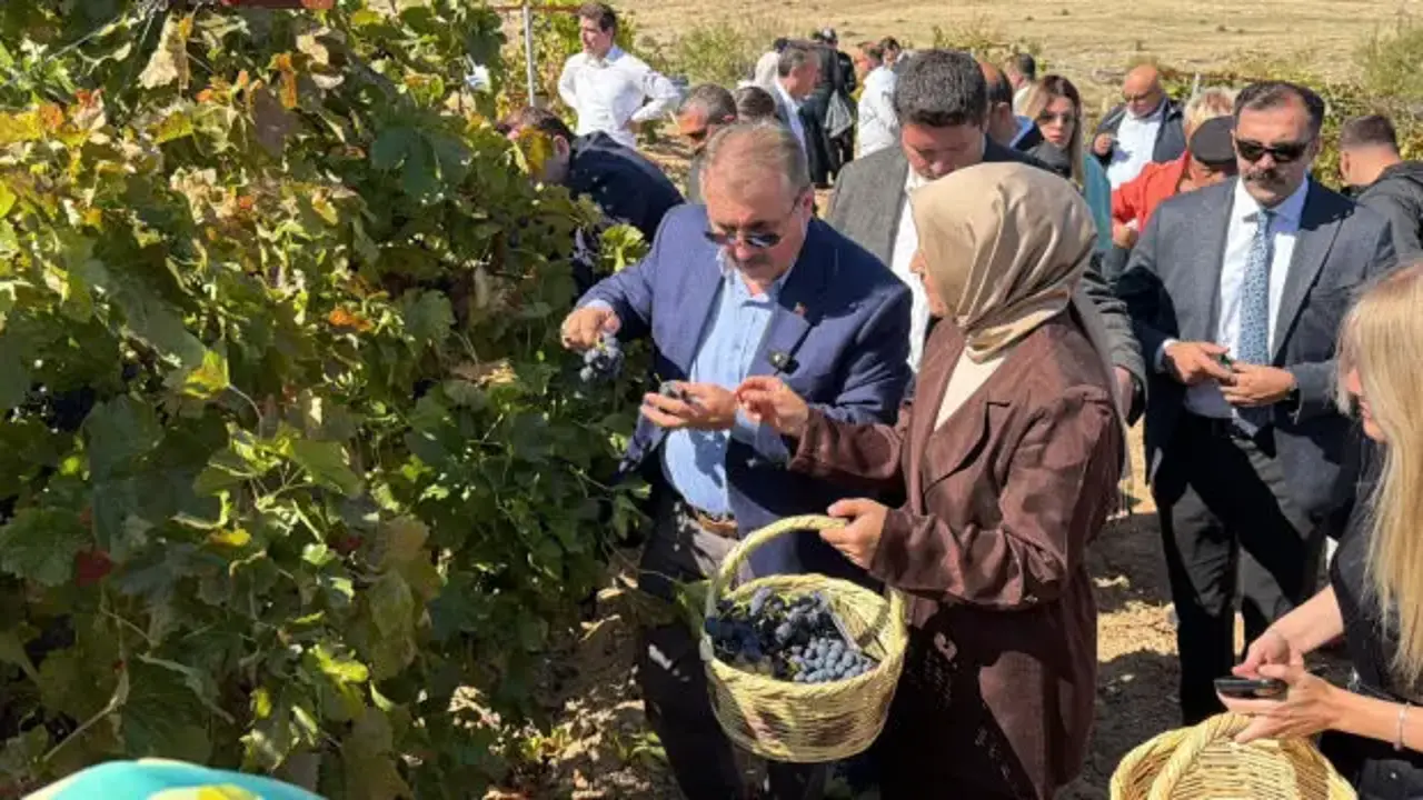 Destici, memleketinde bağbozumu etkinliğine katıldı