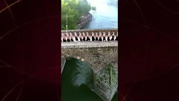 Diyarbakır'da hafızlık eğitimini bitiren 24 kız öğrenci icazet aldı