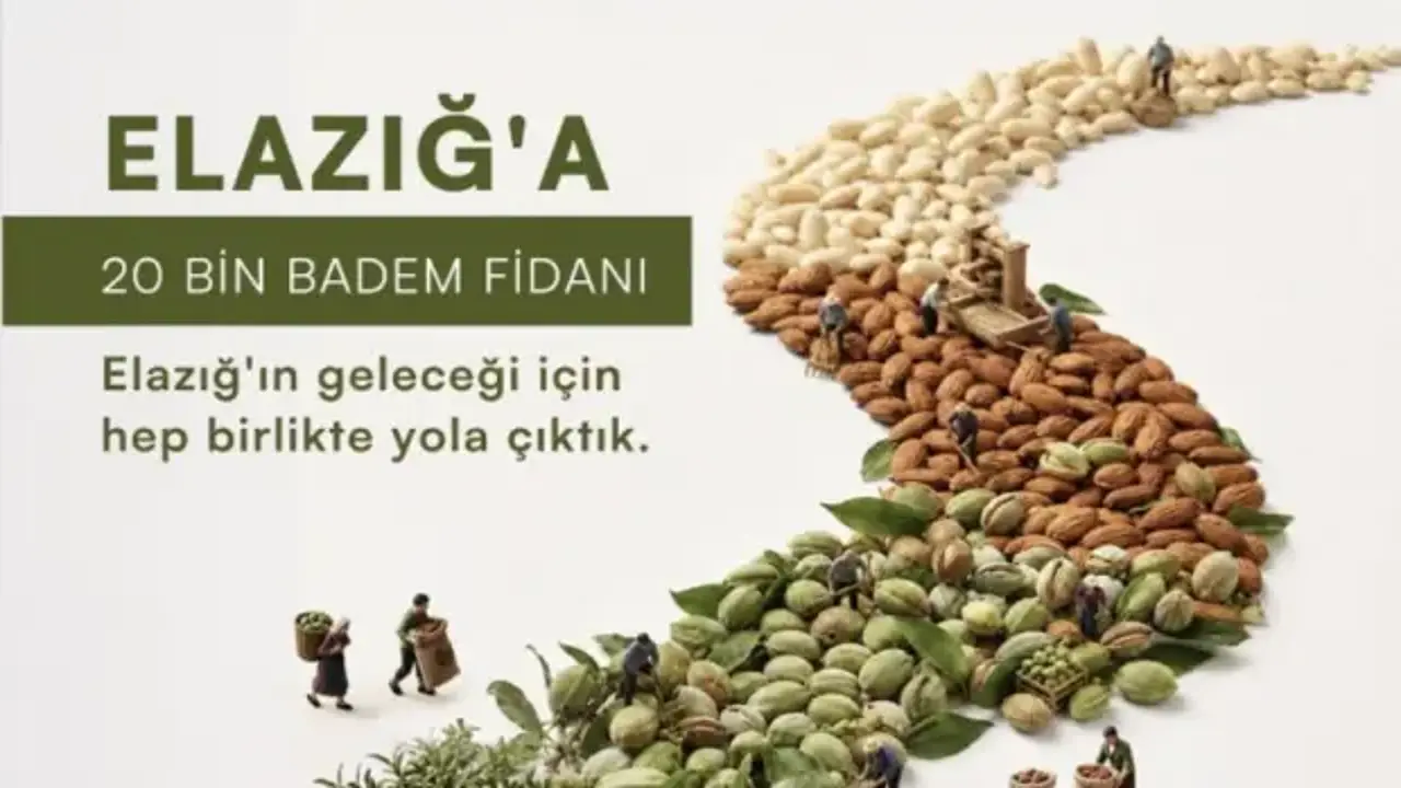 Elazığ'ın taşlık yamaçları bademle yeşerecek: ÇEKUD'dan 20 bin fidanlık seferberlik