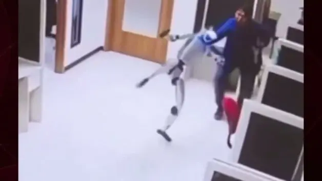 Endonezya'da 'Kung Fu' yapan insansı robot önüne geleni dövdü