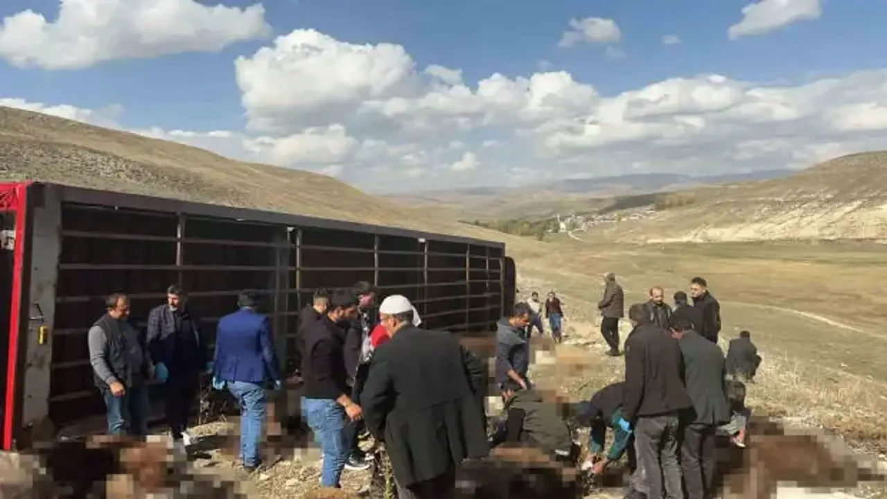 Erzurum'da hayvan yüklü tır devrildi: 130 küçükbaş telef oldu