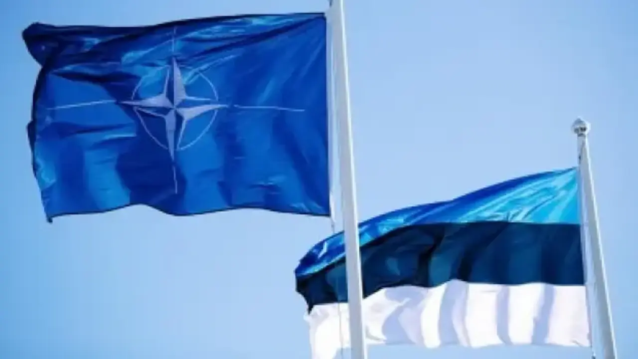 Estonya'da İHA düşürüldü! NATO'dan açıklama