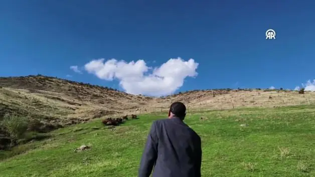 Fenomen çoban 18 yıl sonra yine koyunları çağırdı!  O anlar viral oldu
