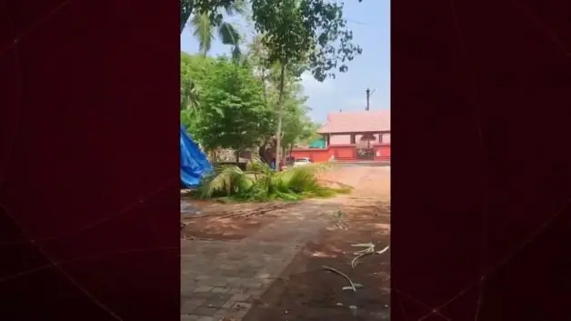 Fil otomobili yerden yere vurdu: Sürücüsünü ezip başında bekledi!