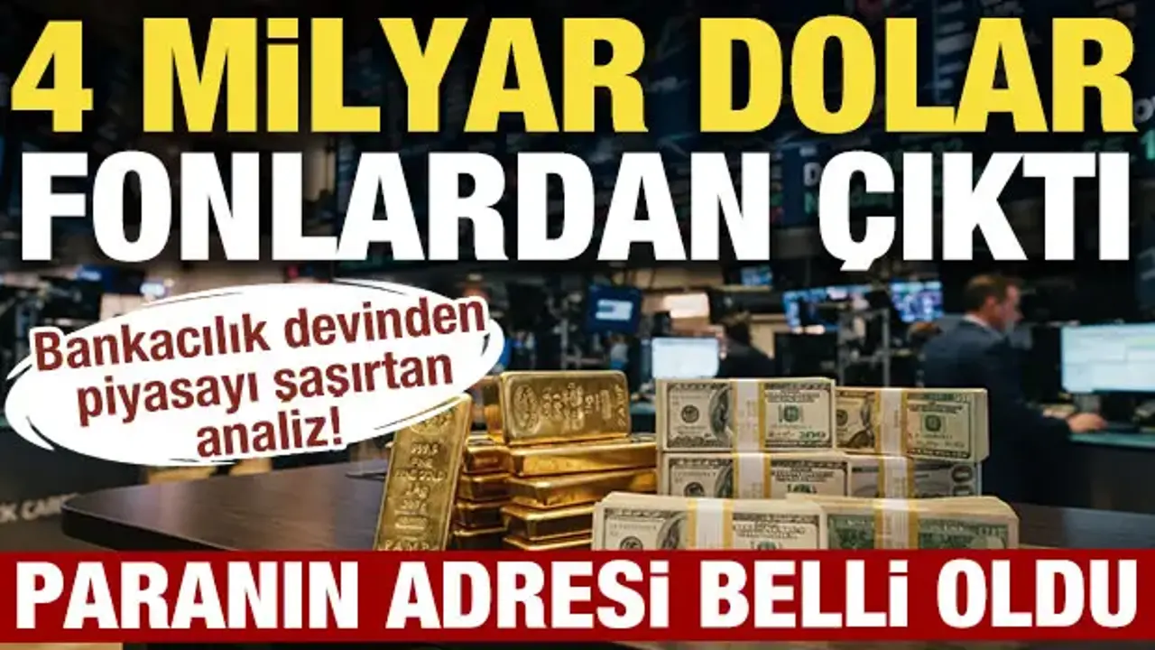 Fonlardan çıkan 4 milyar doların adresi belli oldu: Goldman Sachs'tan dikkat çeken analiz