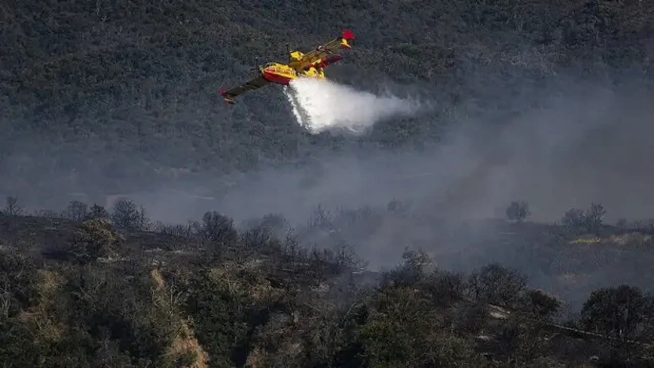 Fransa'da orman yangını çıkaran 59 kişi gözaltına alındı