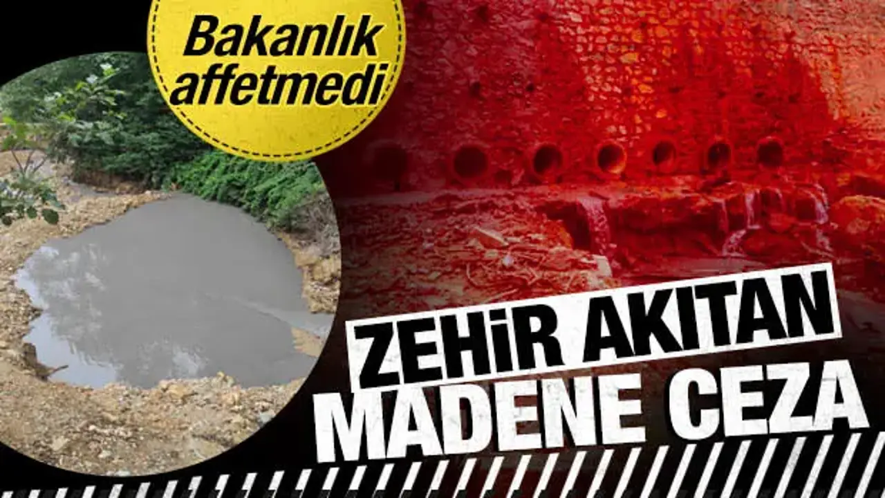 Giresun'da dereyi kirleten maden ocağına 2,5 milyon lira ceza